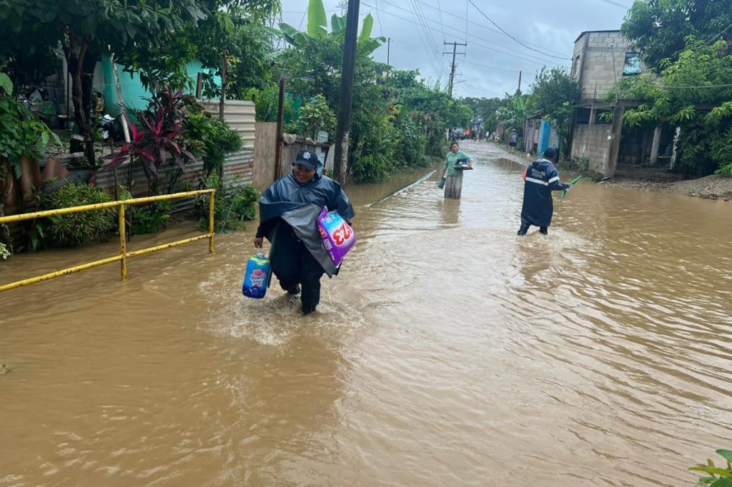 «Nadine» pegó fuerte en el sureste, dejó 5 personas sin&nbsp;vida