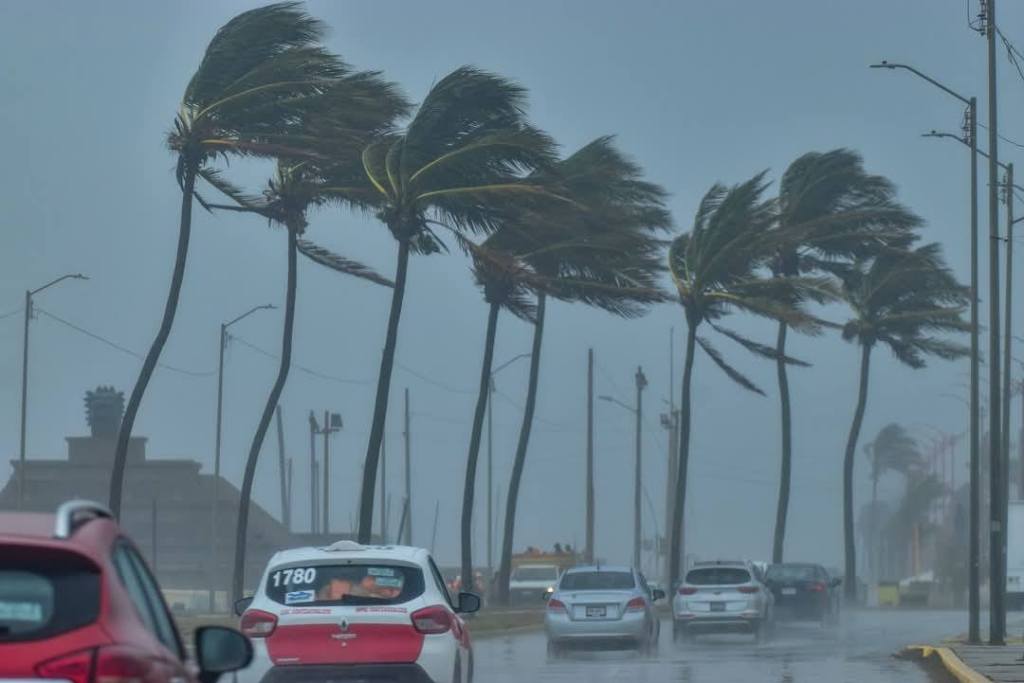 Protección Civil despliega personal y equipo por el Frente Frío&nbsp;25