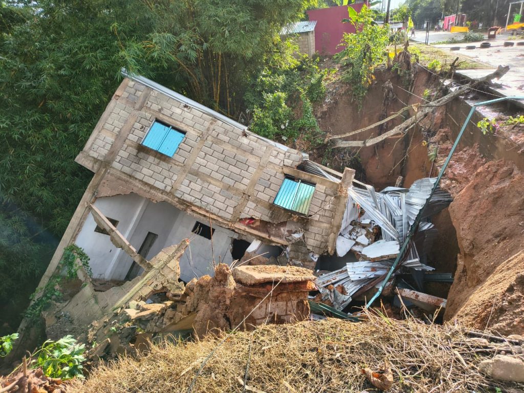 Se traga la tierra el extinto centro botanero «El Sótano» en&nbsp;Oteapan