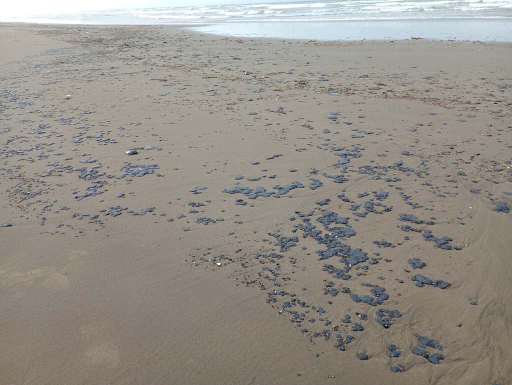 Frente Frío 41 arrastra hidrocarburos a playas de Coatzacoalcos a días de Semana&nbsp;Santa
